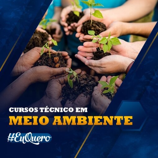 TÉCNICO EM MEIO AMBIENTE